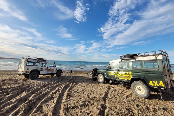 3 hour 4x4 tour around Puerto Madryn - Punta Loma Reserve: sea lions and native plants