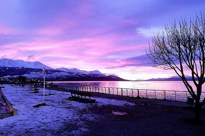 5-Hour National Park + City tour - USHUAIA (Private Tour) - Key points to know before booking