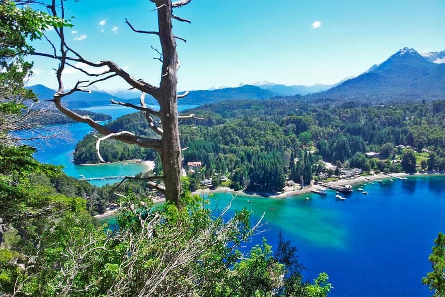 Bariloche: 7 Lakes & San Martin de Los Andes Road Trip - Key points to know before booking