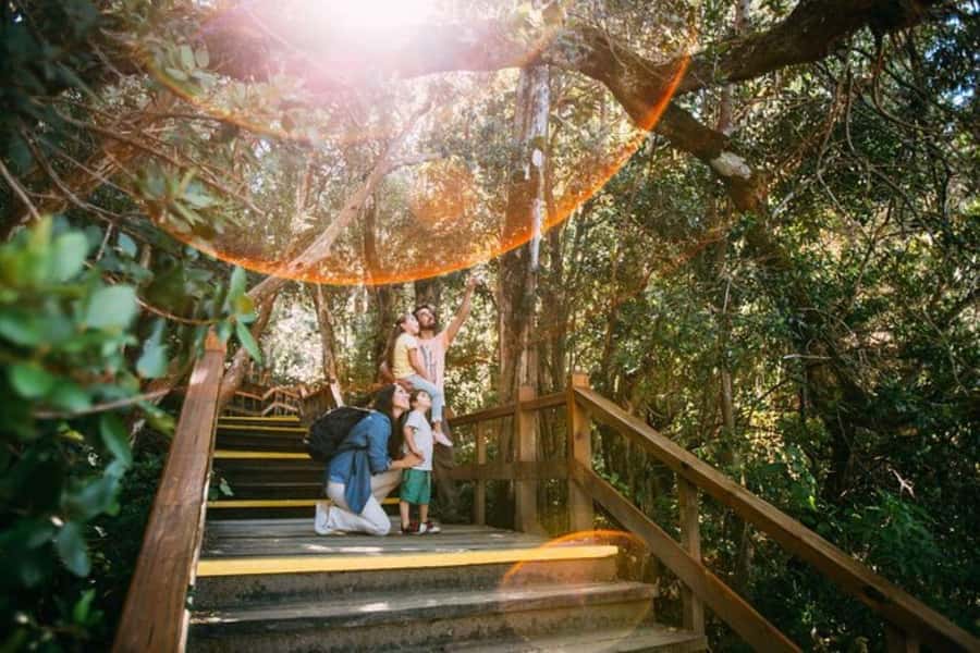 Bariloche: Arrayanes Forest and Victoria Island Tour - Walking Victoria Island from Anchorena port