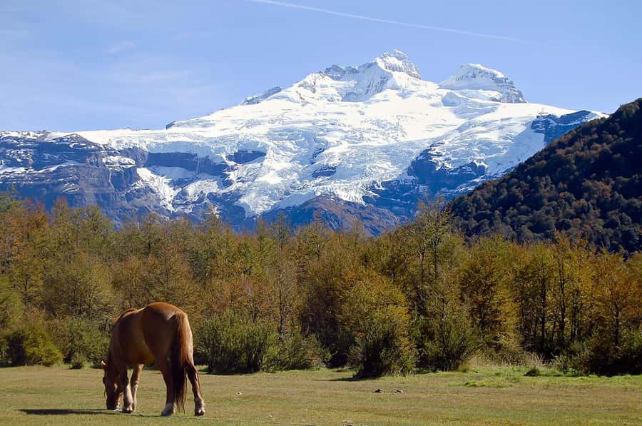 Bariloche: Cerro Tronador and Ventisquero Negro Glacier Tour - Following Lake Mascardi to Isla Corazón