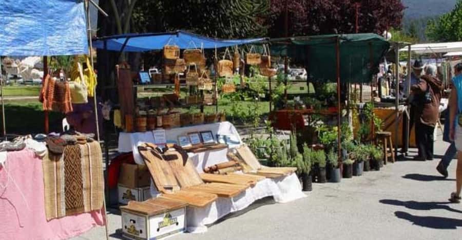 Bariloche: Full-Day El Bolsón and Puelo Lake Tour - Key points to know before booking