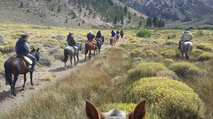 Bariloche: Guided horseback rides in the Patagonian steppe - Five things to know before you book