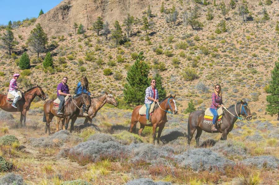 Bariloche: Guided horseback rides in the Patagonian steppe - Leaving Bariloche for the Patagonian steppe