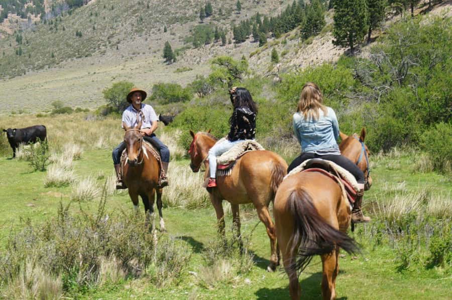 Bariloche: Guided horseback rides in the Patagonian steppe - Two hours in the saddle across uneven ground