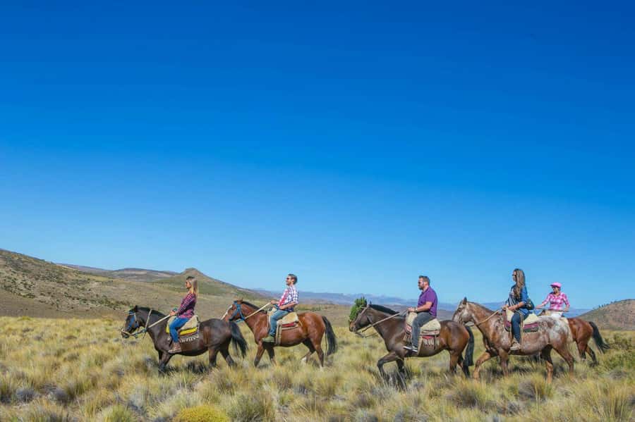 Bariloche: Guided horseback rides in the Patagonian steppe - Breakfast, local wildlife, and a useful introduction