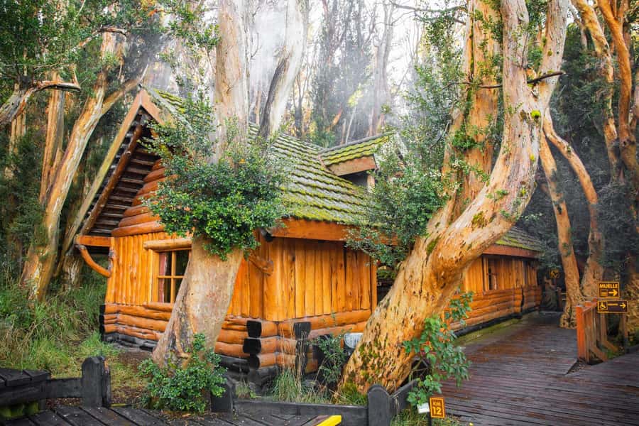 Bariloche: Victoria Island and Arrayanes Forest Navigation - Walking beneath the myrtle trees
