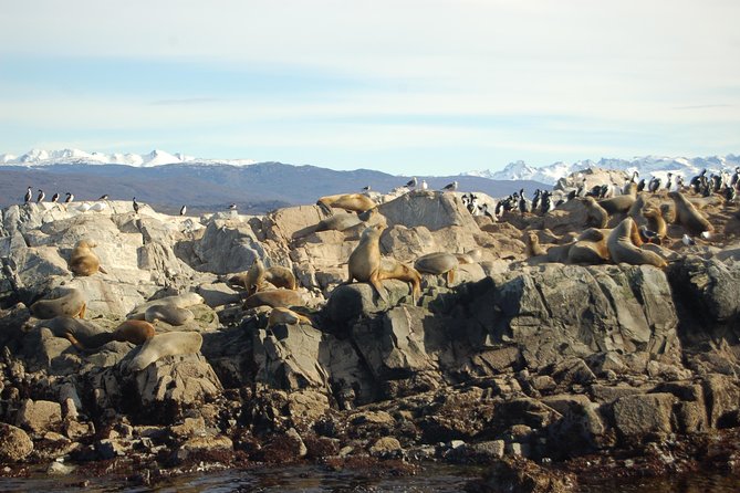 Beagle Channel Navigation - Sea Lions Island - Leaving Ushuaia Bay by catamaran