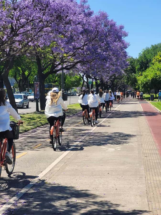 Bike Tour: Buenos Aires to the North - Floralis Genérica and the Law School