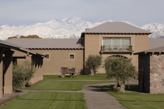 Bike Tour in Mendoza Wine Country - The essential facts before you book