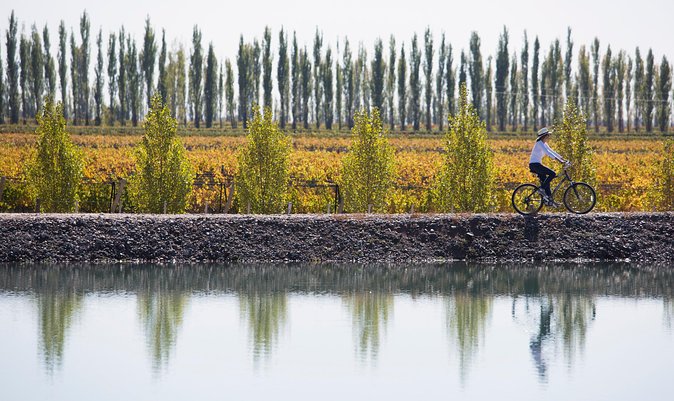 Bike Tour in Mendoza Wine Country - Why cycling Vistalba changes the wine tour