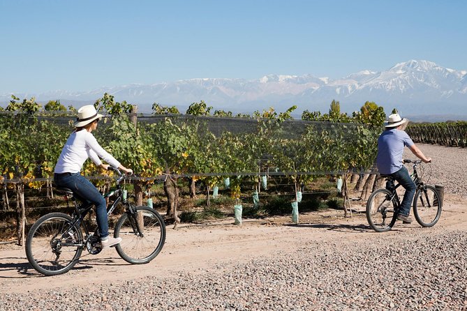 Bike Tour in Mendoza Wine Country - Bodega Carmine Granata: the first tasting