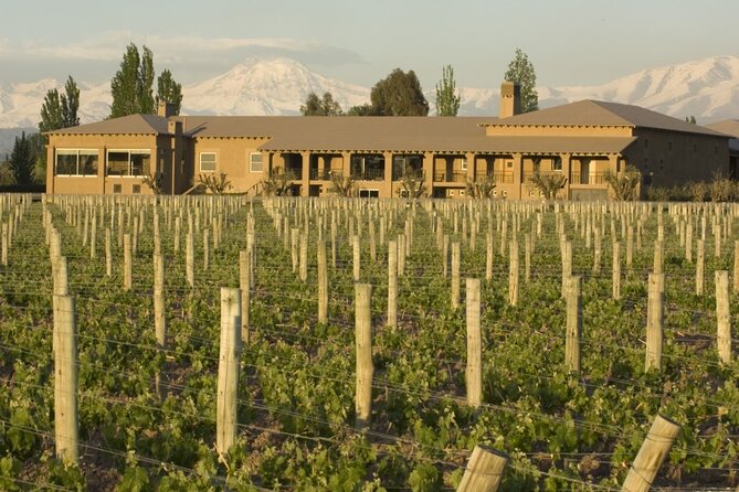 Bike Tour in Mendoza Wine Country - Bodega Vistalba and the value of contrast