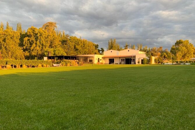 Bike Tour in Mendoza Wine Country - What the roads are really like