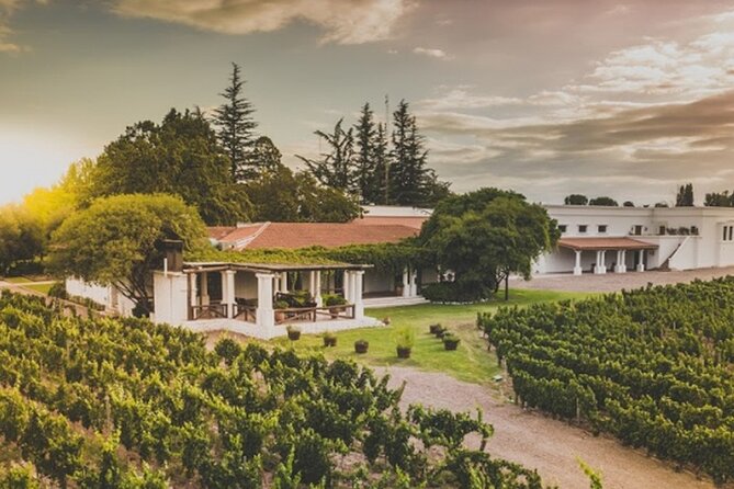 Bike Tour in Mendoza Wine Country - Guides make or break the day