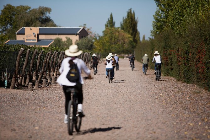 Bike Tour in Mendoza Wine Country - From Mendoza hotel pickup to the first pedal stroke