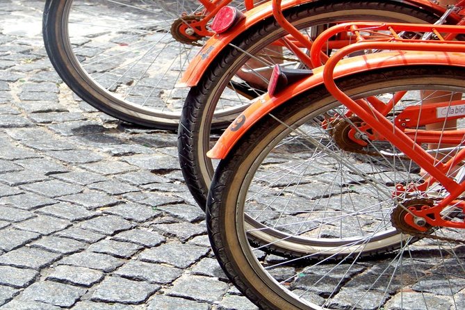Buenos Aires Bike Tour: San Telmo and La Boca Districts - Plaza de Mayo and the symbols of Argentina
