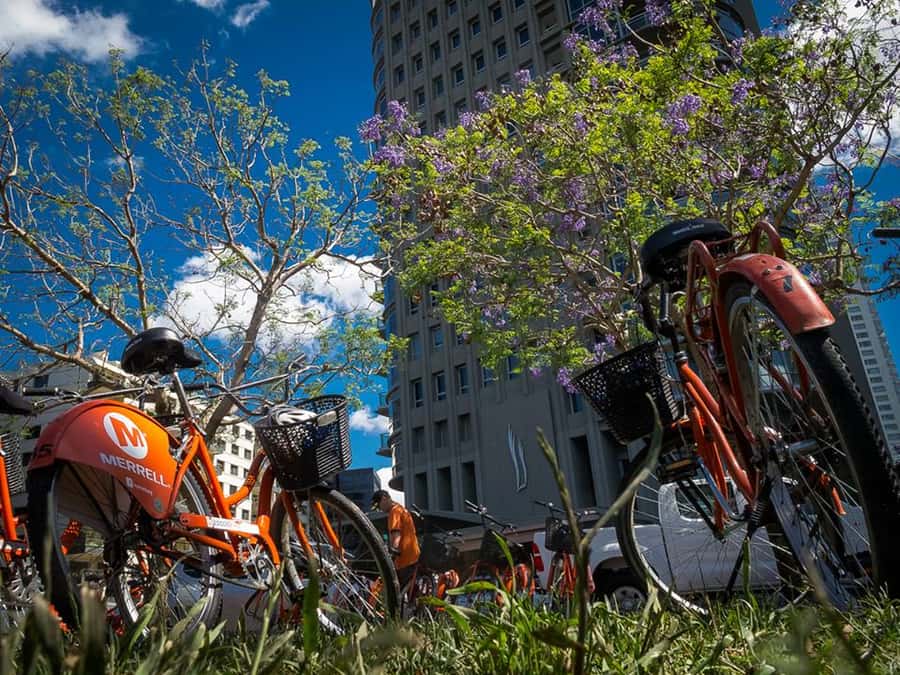 Buenos Aires Bike Tour: South or North Circuit - What the three-hour ride feels like
