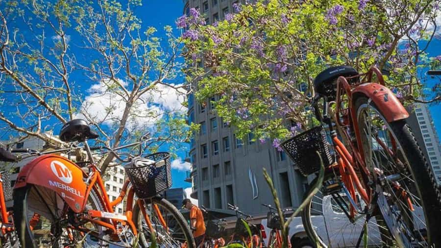 Buenos Aires Bike Tour: South or North Circuit - South or North: which route should you choose?