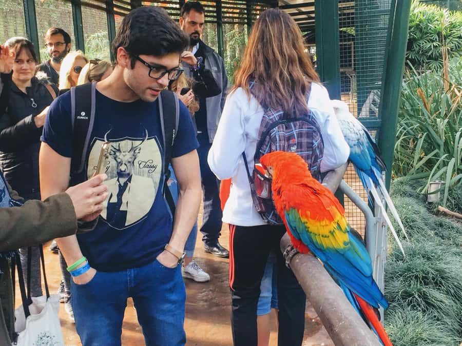 Buenos Aires: Bioparque Temaiken with Transfers - Key points to know before you book
