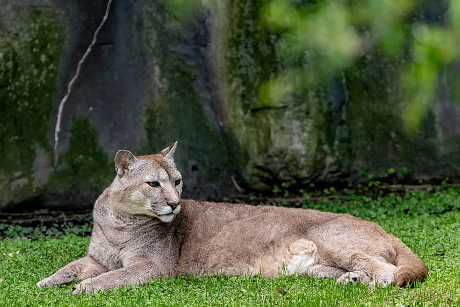 Buenos Aires: Bioparque Temaiken with Transfers - Is $88 a fair price?