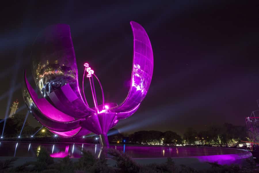 Buenos Aires by Night: Small Group City Tour - Who should book this evening tour