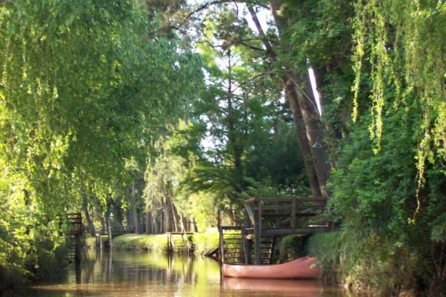 Buenos Aires: Classic Private Delta Tigre Boat Tour - Who will enjoy this four-hour outing