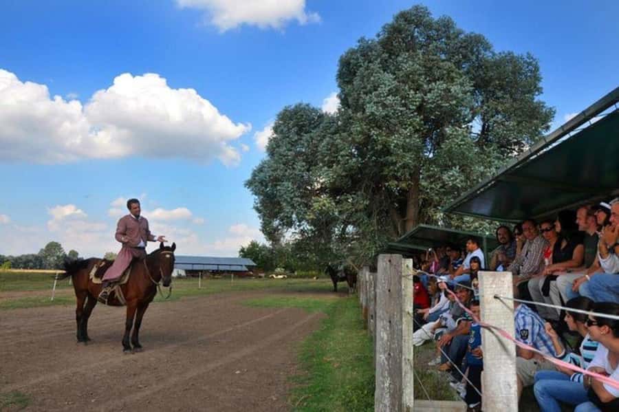 Buenos Aires: Don Silvano Ranch Gaucho Day Trip - Four useful things to know before you book