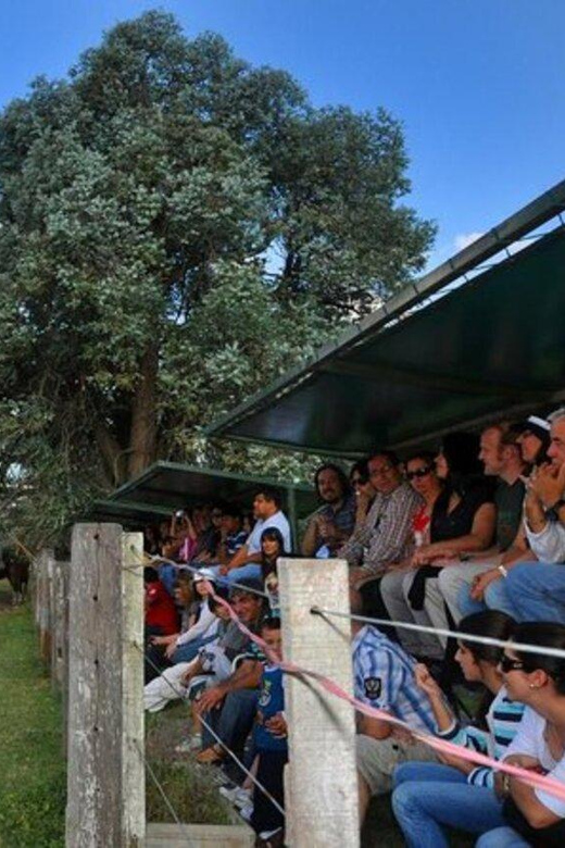 Buenos Aires: Don Silvano Ranch Gaucho Day Trip - Who will enjoy this ranch day most?