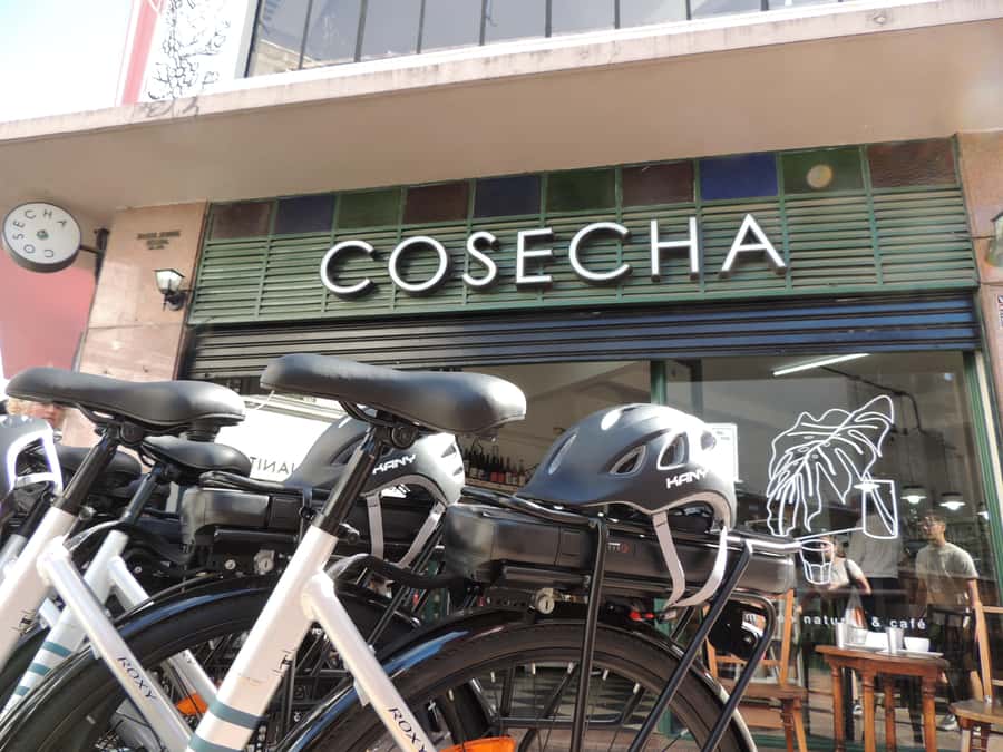 Buenos Aires: E-Bike Tour in the South Circuit of Buenos Aires - Parque Lezama and the ride toward La Boca