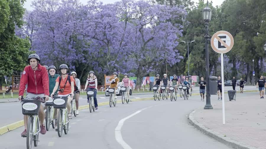 Buenos Aires: North or South Buenos Aires Bike Tour - Guides, bikes, and the feel of the ride