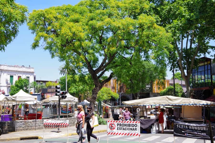 Buenos Aires: Palermo Soho Guided Walking Tour - Designer shops, bars, and time to explore