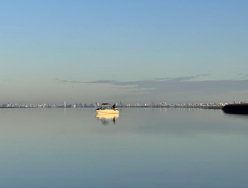 Buenos Aires: Private Delta Boat Tour with Barbecue onboard - Understanding the $480 group price