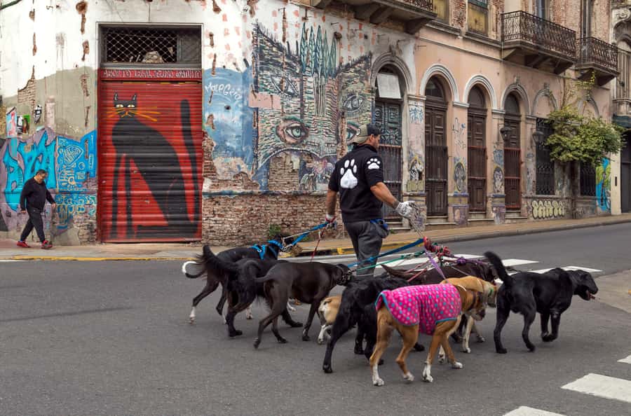 Buenos Aires: Private Photo Tour for Ammateur Photographers - Is $200 per person good value?