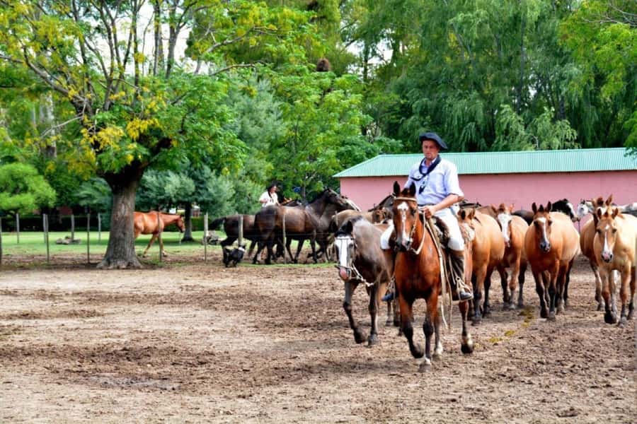 Buenos Aires: Santa Susana Ranch Day Tour, BBQ & Shows - From Buenos Aires to Santa Susana Ranch