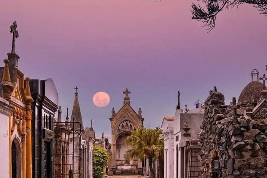 Buenos Aires: Small Group City Highlights Tour - Puerto Madero finishes with Argentine wine