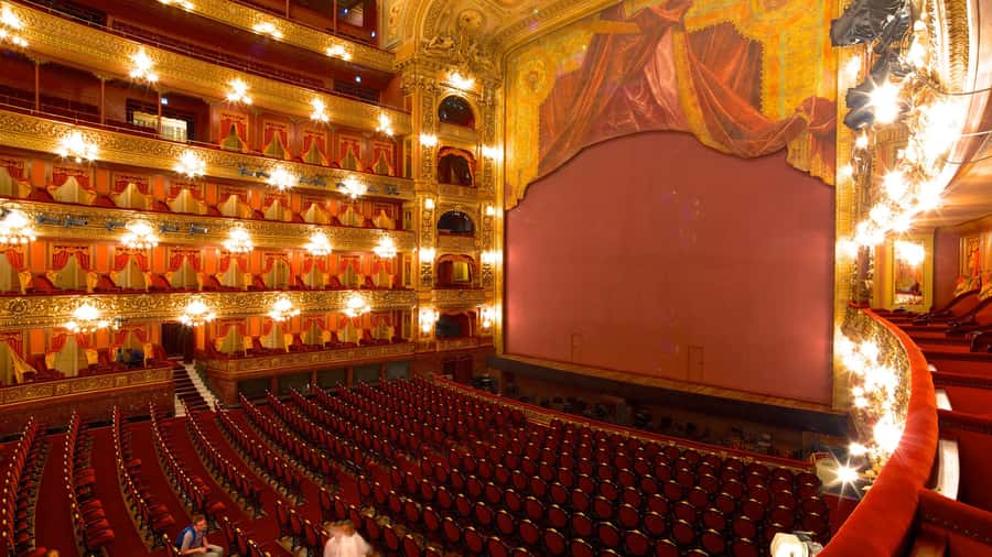 Buenos Aires: Teatro Colon Guided Tour - The grand halls and early 1900s architecture