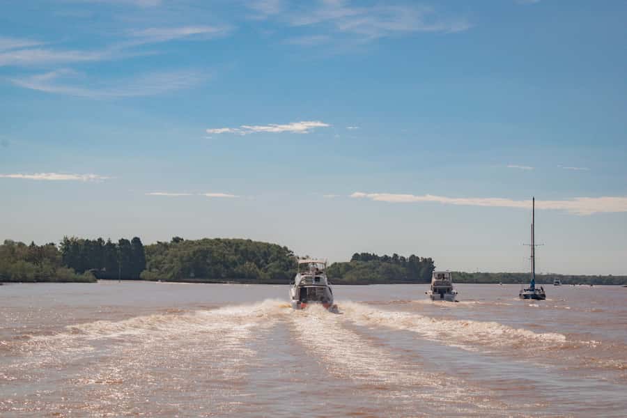 Buenos Aires: "Ticket"- 2hs of Navigation Premium to Tigre - Key Points Before You Book