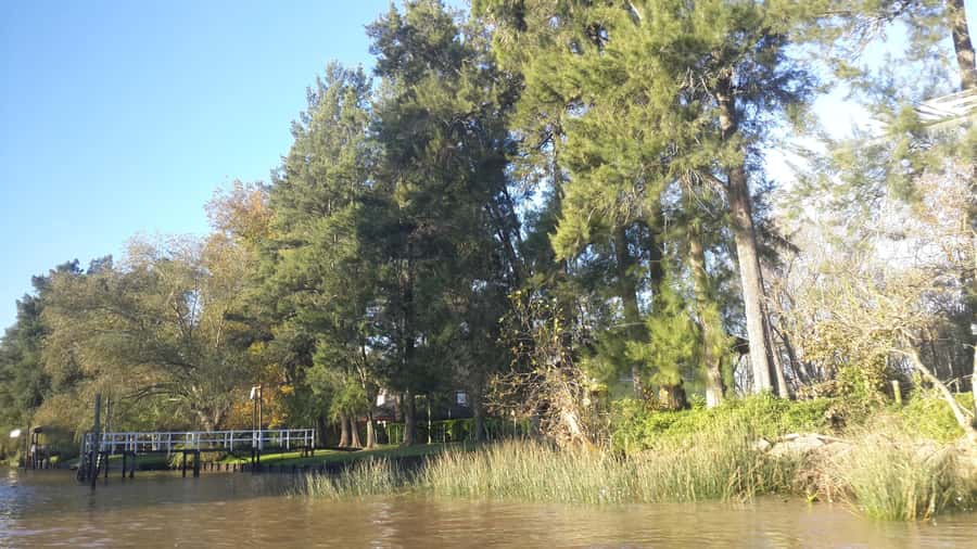 Buenos Aires: Ticket - Classic Delta of Tigre Boat Tour - Who will enjoy this Tigre boat trip most?