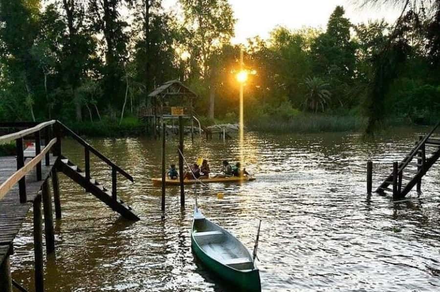 Buenos Aires: Tigre Delta Half-Day Tour with Navigation - Key Points to Know Before You Go
