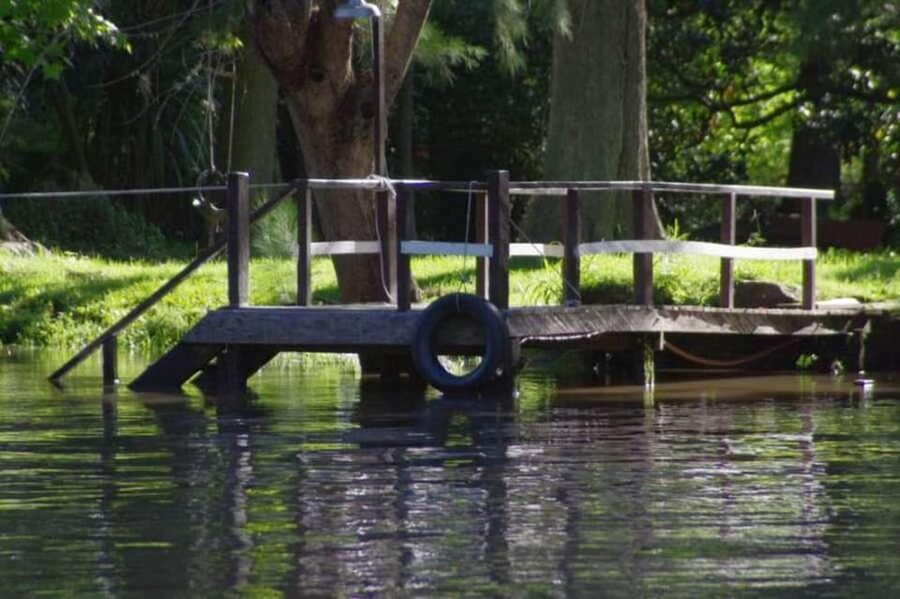 Buenos Aires: Tigre Delta Premium Boat Tour - Guide quality, languages, and the overall pace