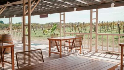 Wine Tasting and Lunch at Bodega Gamboa