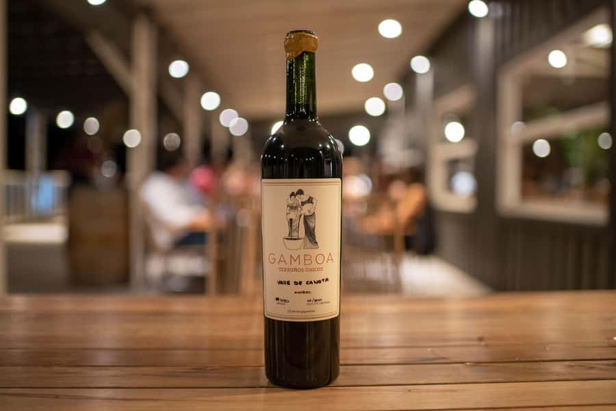 Buenos Aires: Wine Tasting and Lunch at Bodega Gamboa - How the $169 price measures up