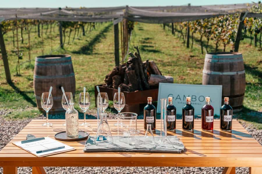 Buenos Aires: Wine Tasting & Lunch at Gamboa Vineyard - Key points to know before booking