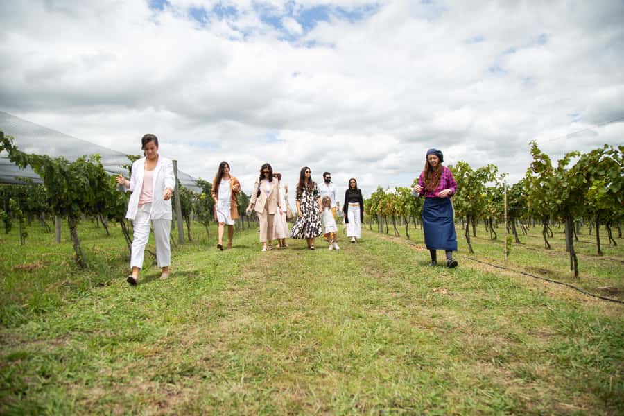 Buenos Aires: Wine Tasting & Lunch at Gamboa Vineyard - Is $220 a fair price?