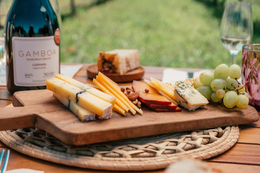 Buenos Aires: Wine Tasting & Lunch at Gamboa Vineyard - The pickup makes the long day easy