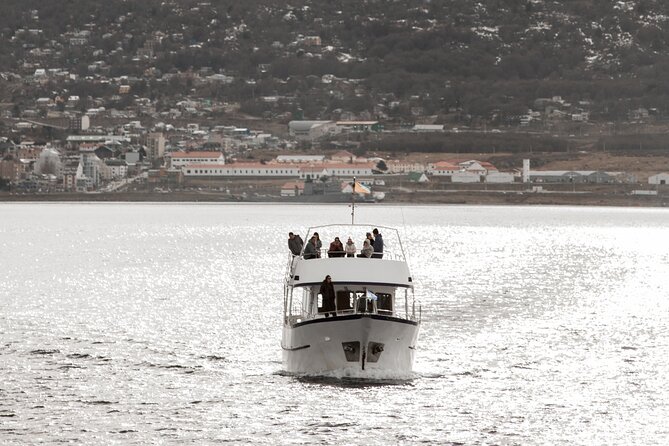 Catamaran Tour through the Beagle Channel and Penguins in Isla Martillo - Sea lions at Isla de los Lobos
