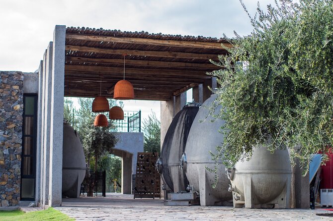Catena Zapata Winery, Lunch and Private Transportation - Catena Zapata: a serious first stop with several tasting paths