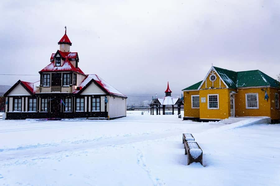 City tour and Wine tasting - Two hours with Patagonian wine and cheese