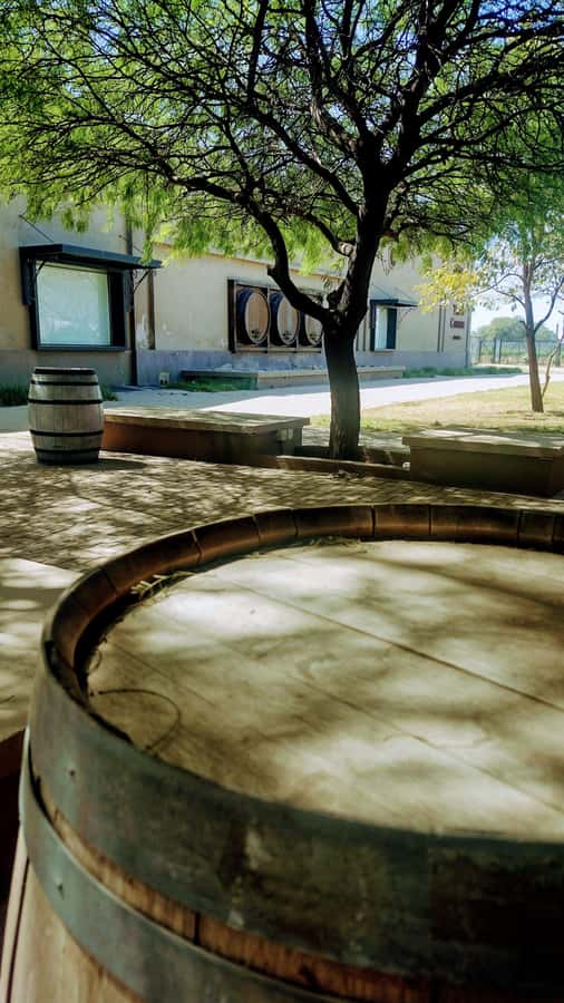 Córdoba: Wine Tour Privado a Colonia Caroya - Día completo - Why Colonia Caroya makes a good wine day from Córdoba